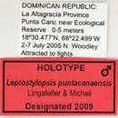 Image of Leptostylopsis puntacanaensis Lingafelter & Micheli 2009