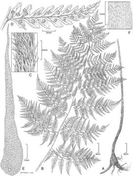 Image of Biota