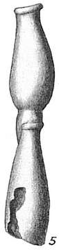 Image of Nubeculariidae Jones 1875