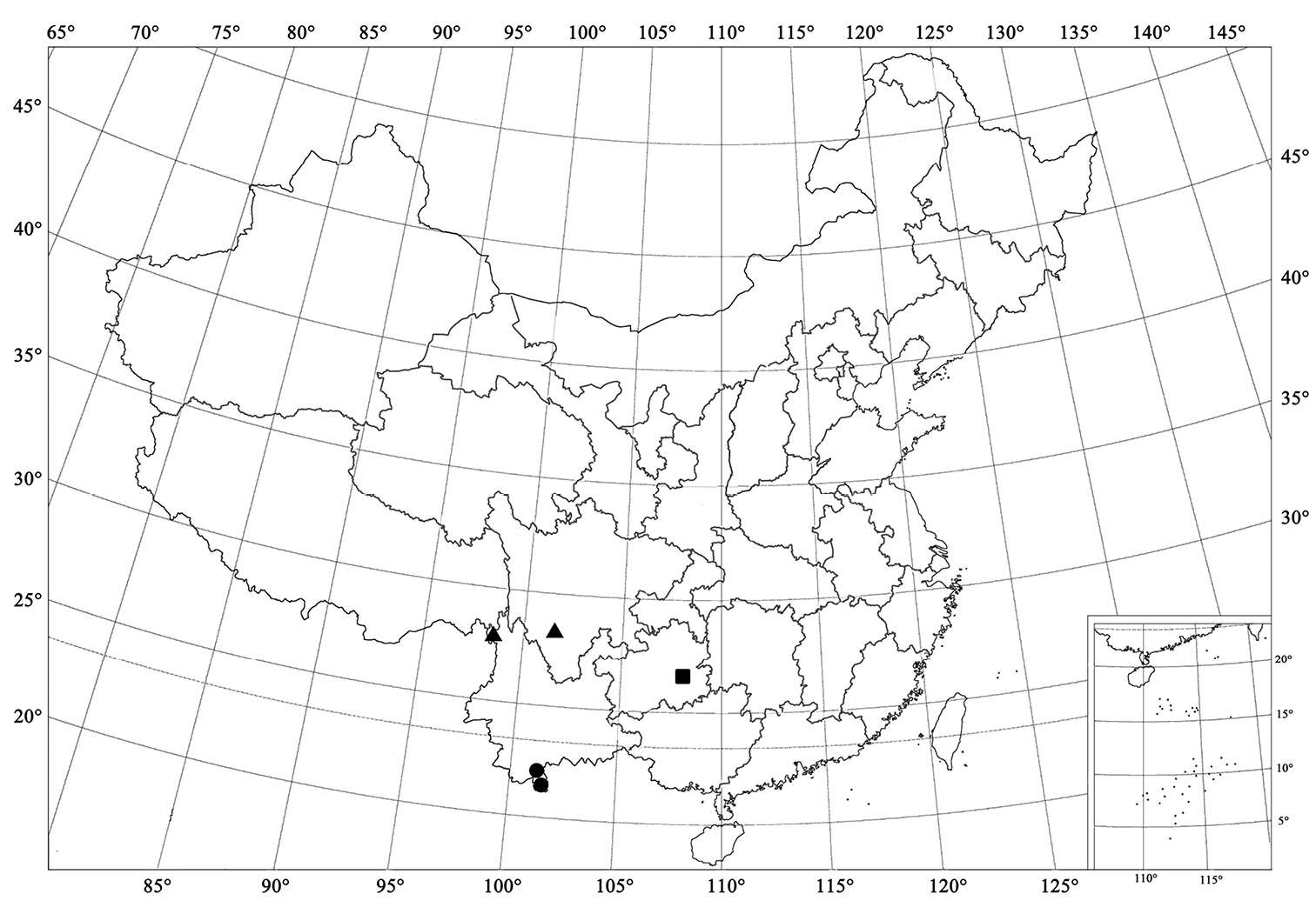 Sivun Serangium centrale Wang & Ren kuva