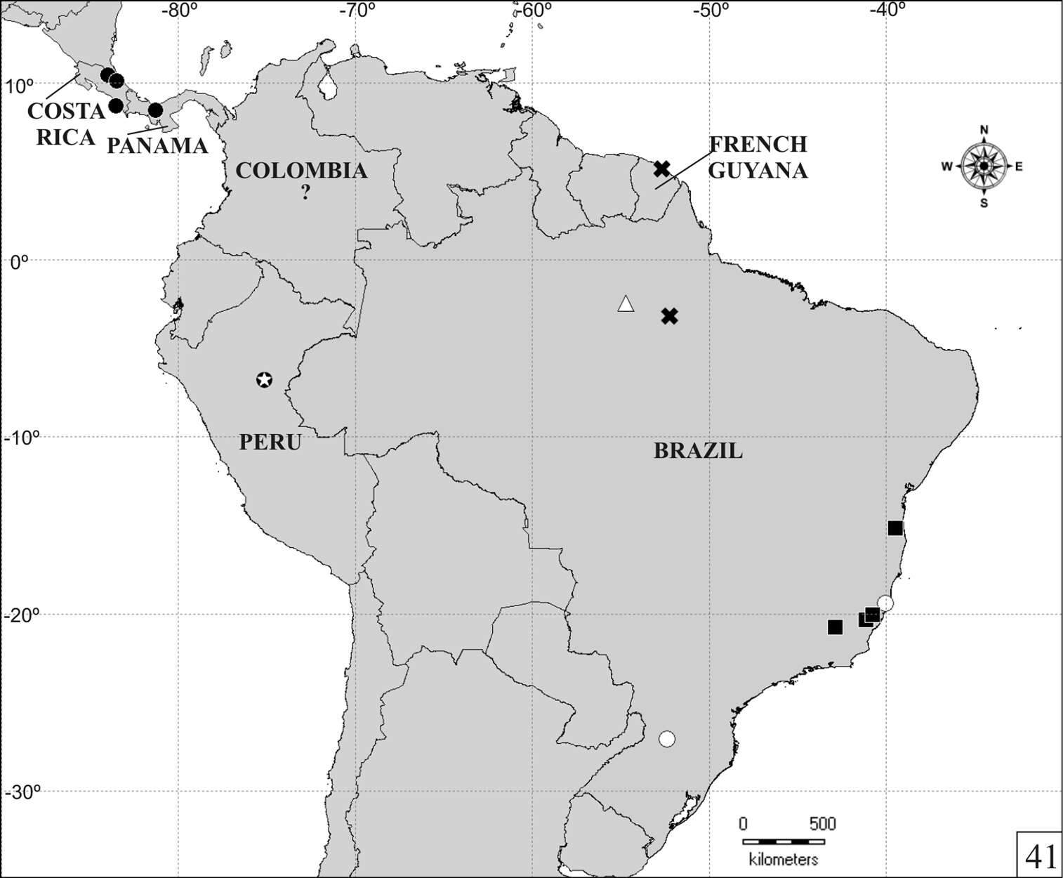 Image of Falsocis occultus Lopes-Andrade & Lawrence