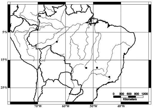 Image of Acangaobitermes