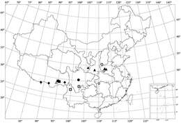 صورة <i>Shirozuella unciforma</i> Sasaji 1967