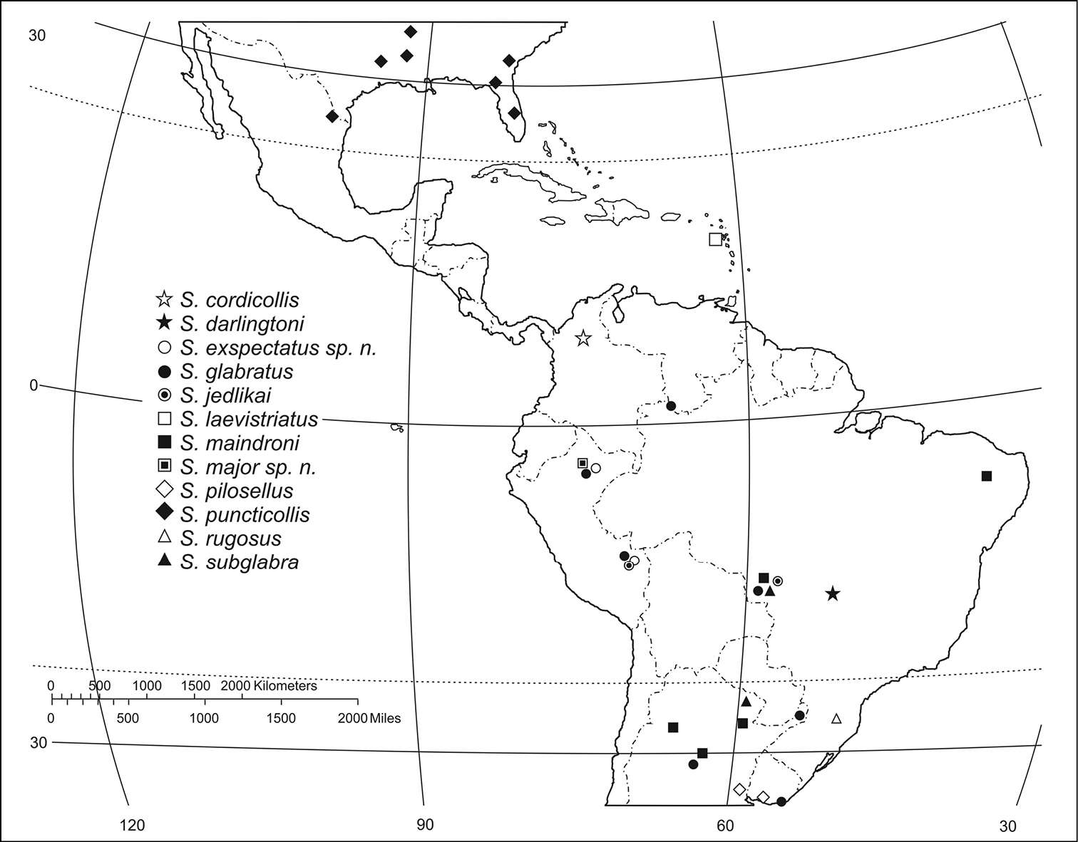 Plancia ëd Semiardistomis exspectatus Valdes 2012