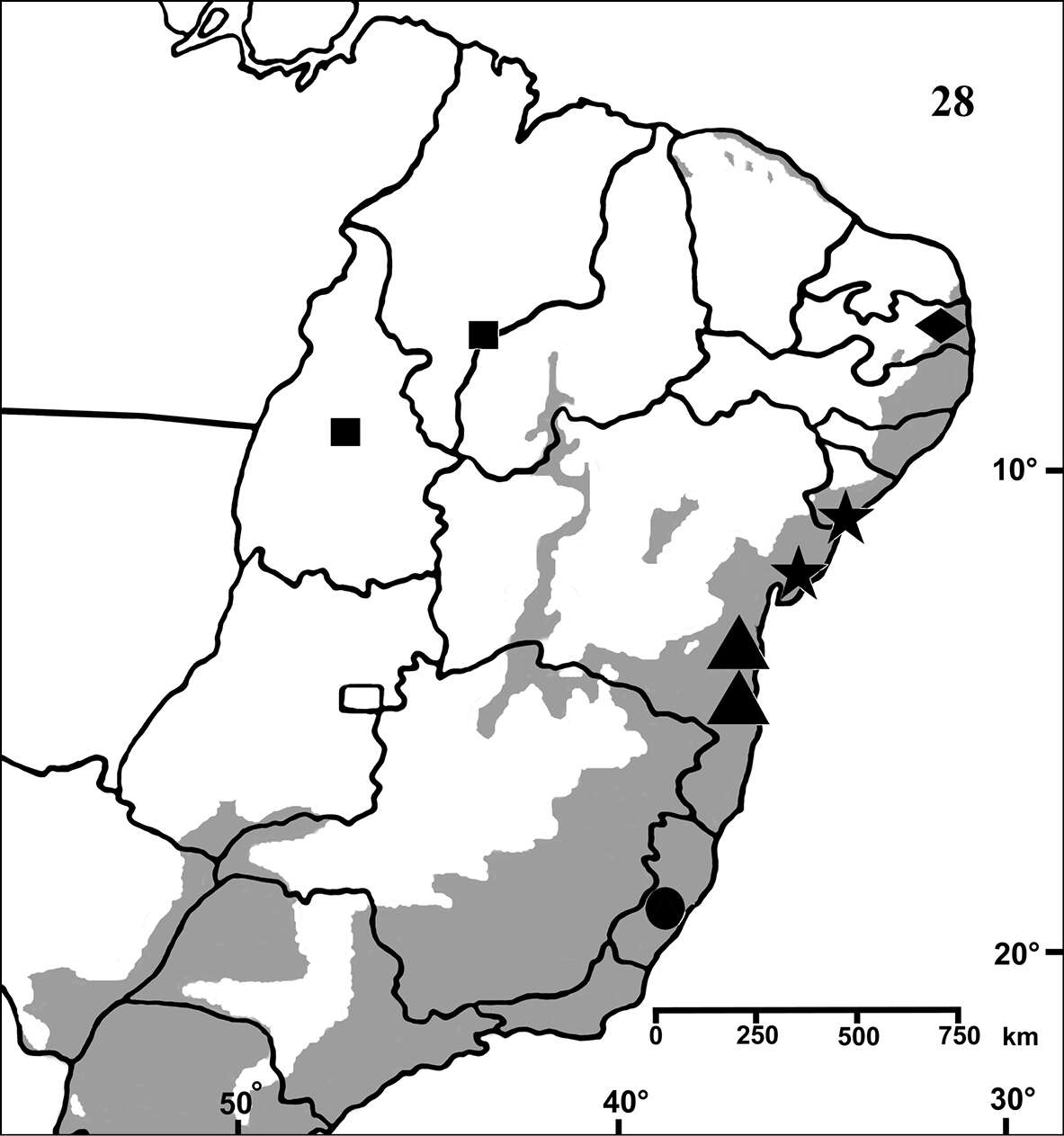 Image of Typhochlaena paschoali Bertani 2012