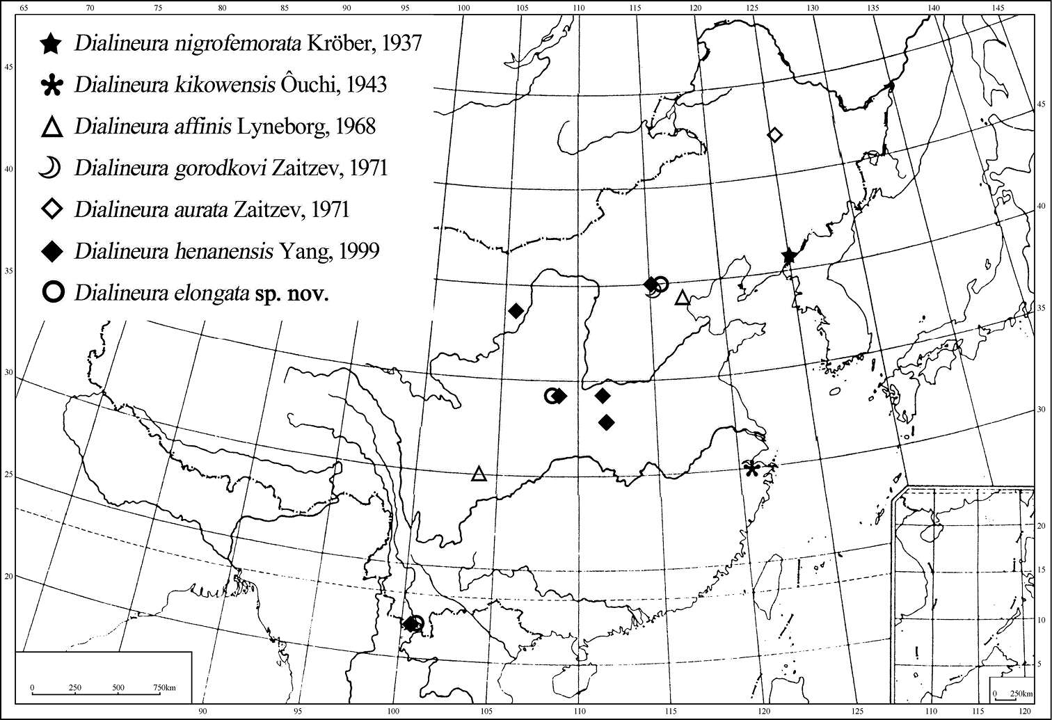 Image of Dialineura