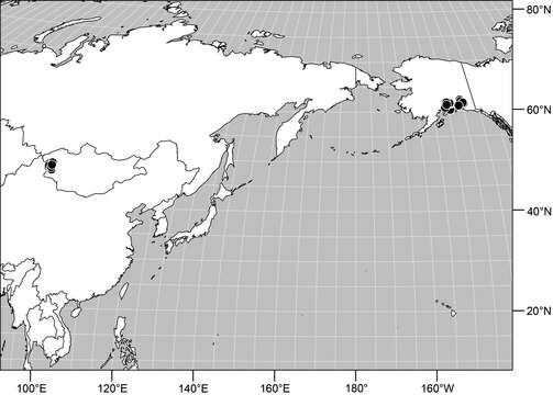 Image de Gymnoclasiopa matanuska Mathis & Zatwarnicki