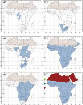 Image of Flea Beetles