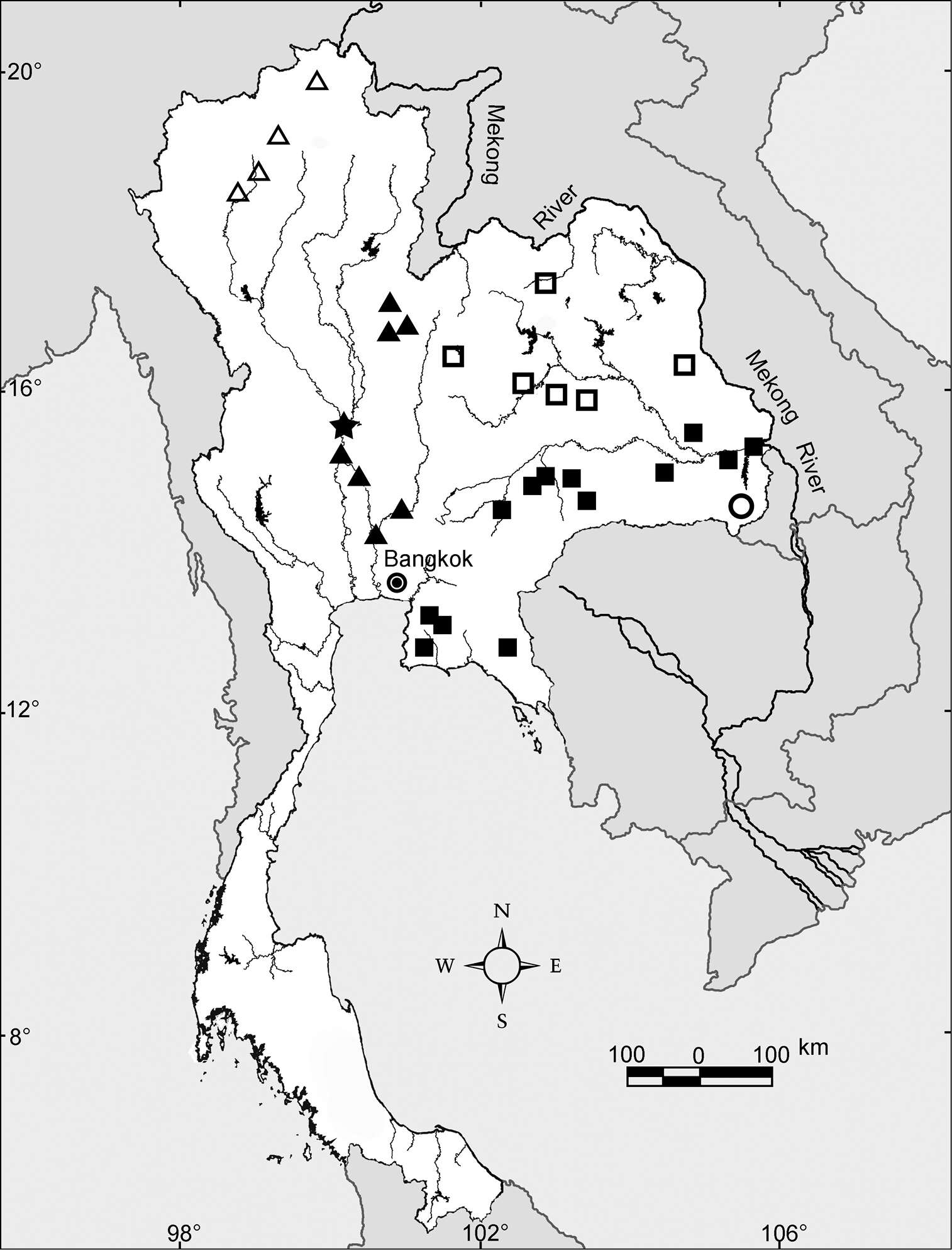 Image of Glyphidrilus vangthongensis Chanabun & Panha 2013