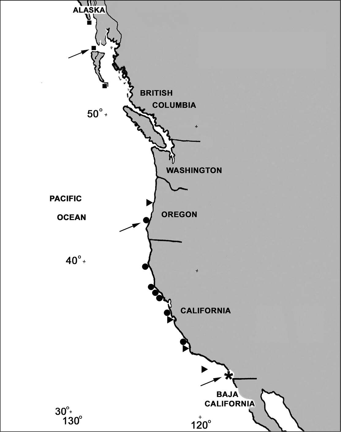 Image of Cryptophyton Williams 2000