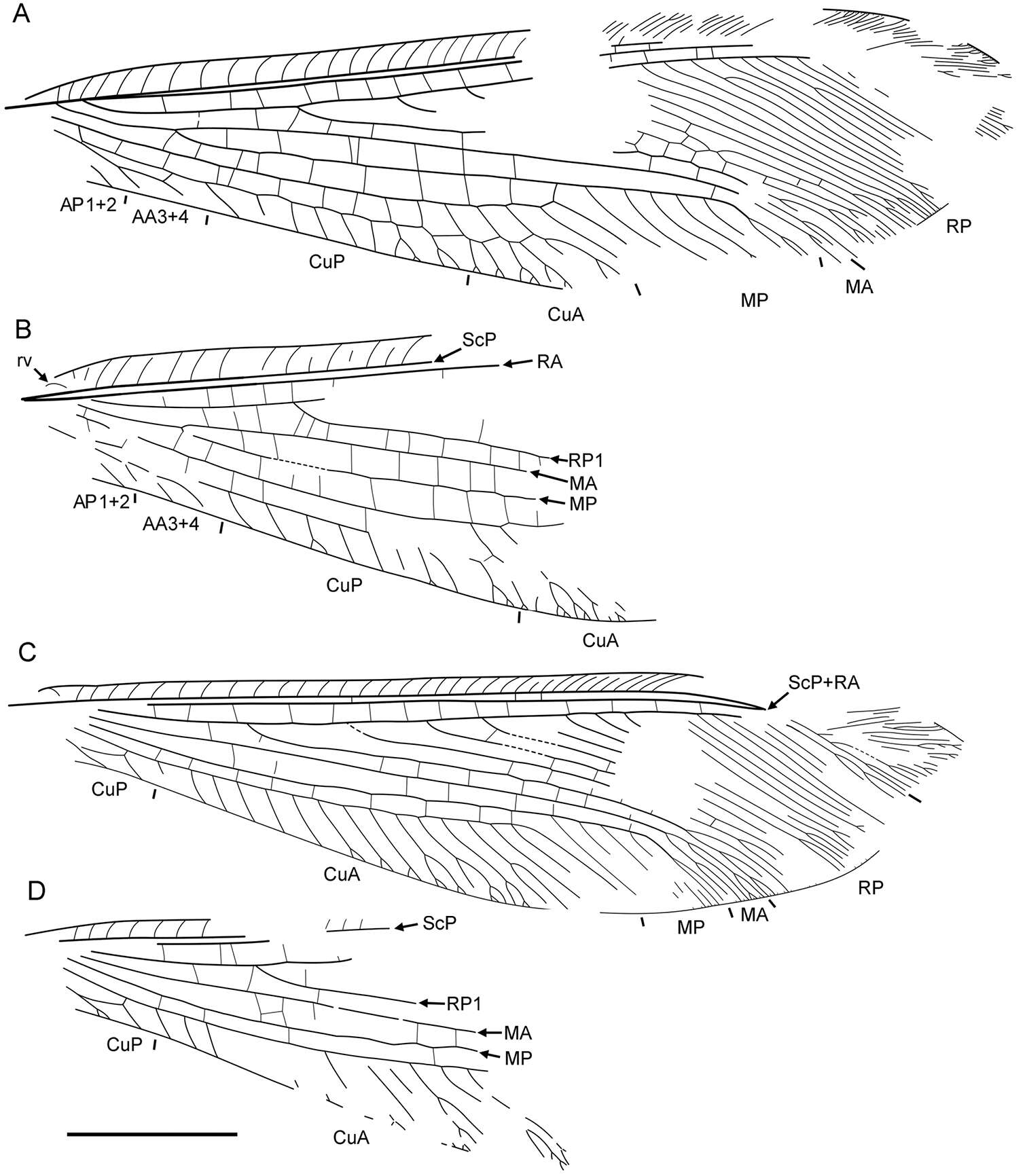 Plancia ëd Liminympha