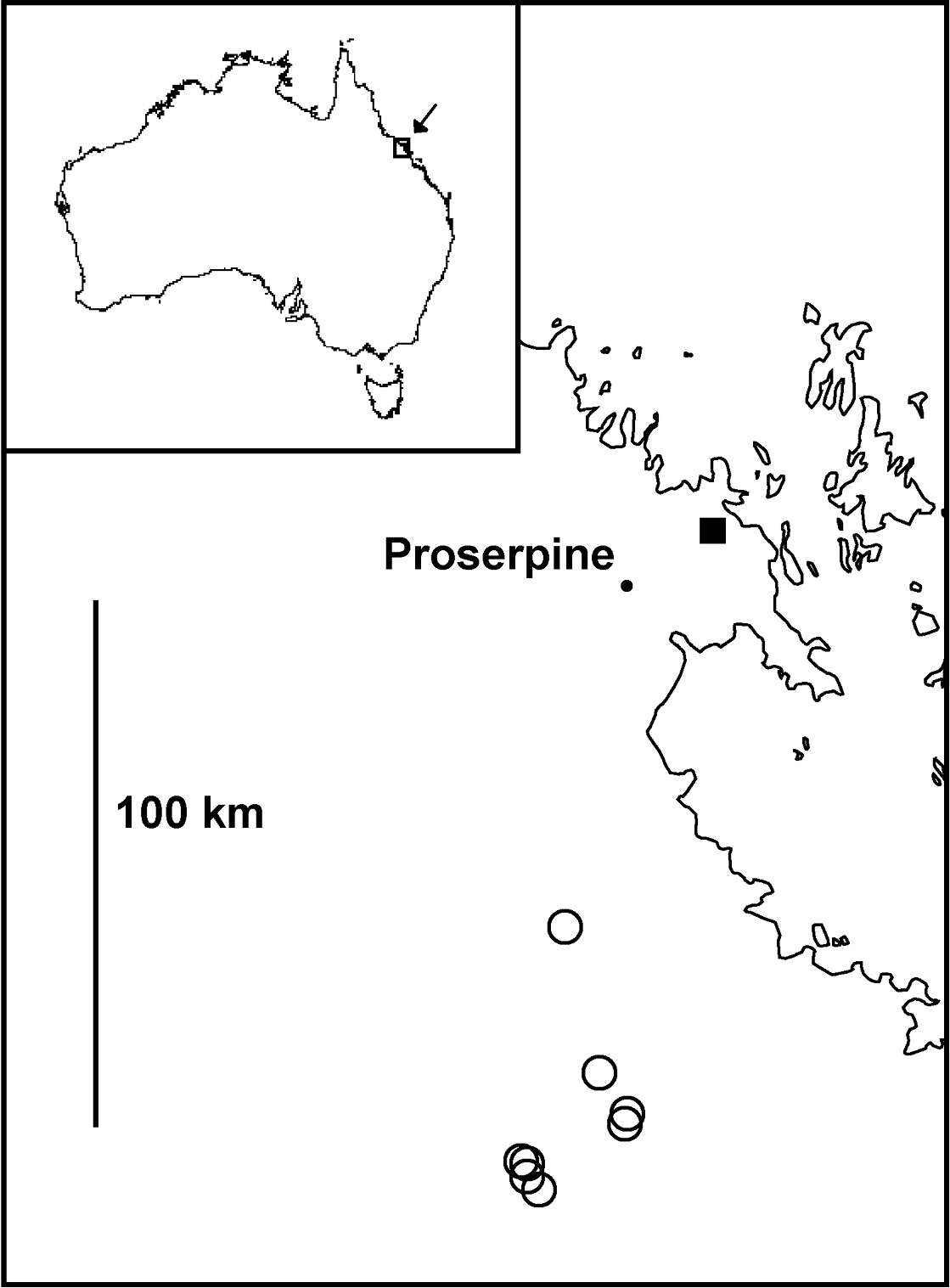 Image of Agathodesmus aenigmaticus Mesibov 2013