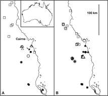 Image of Agathodesmus aenigmaticus Mesibov 2013