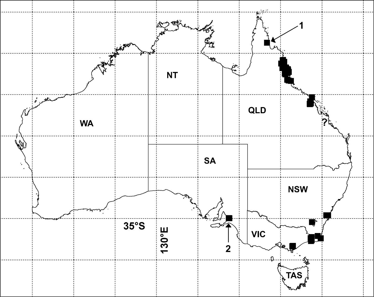 Image of Agathodesmus agnus Mesibov 2013