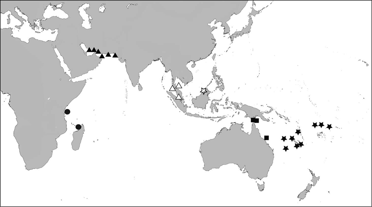 Image de Scabrilucina melvilli J. D. Taylor & Glover 2013