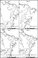 Image de Dinaraea worki Klimaszewski & Jacobs 2013