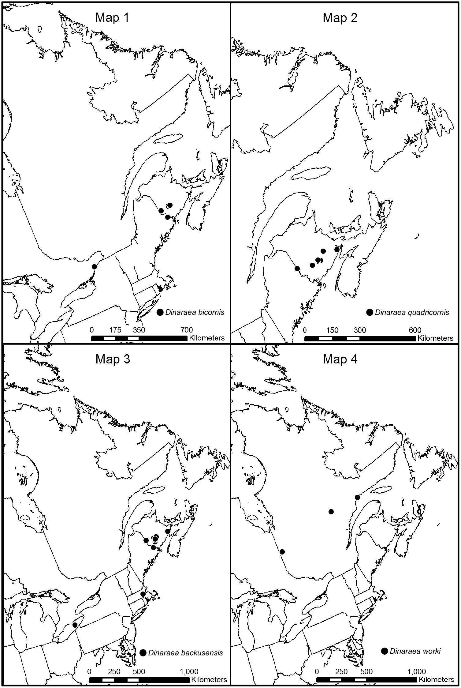 Image de Dinaraea worki Klimaszewski & Jacobs 2013