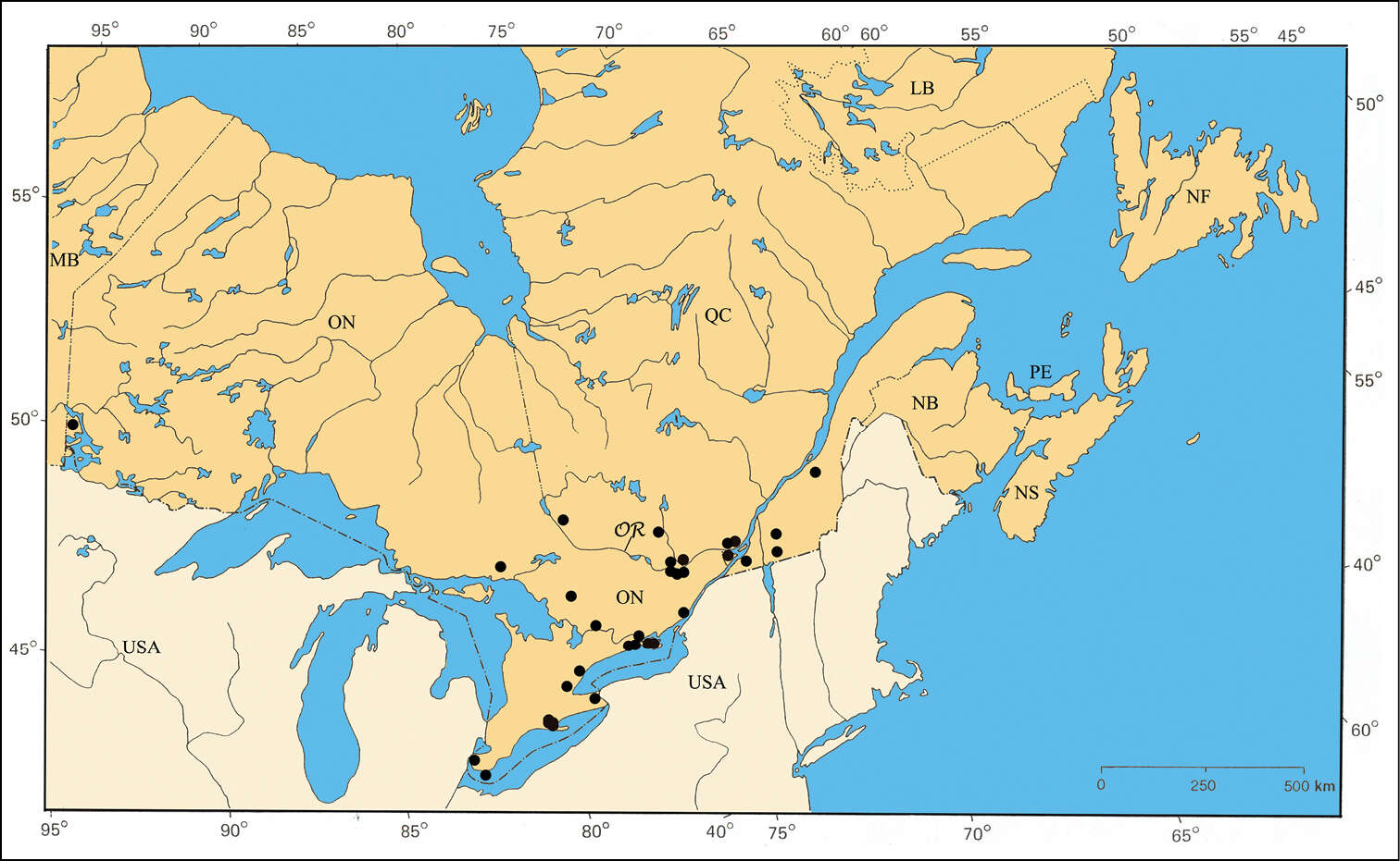 Plancia ëd Pachybrachis spumarius Suffrian 1852