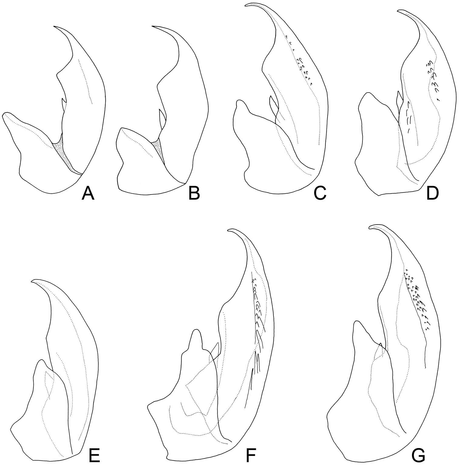 Plancia ëd Exitianus