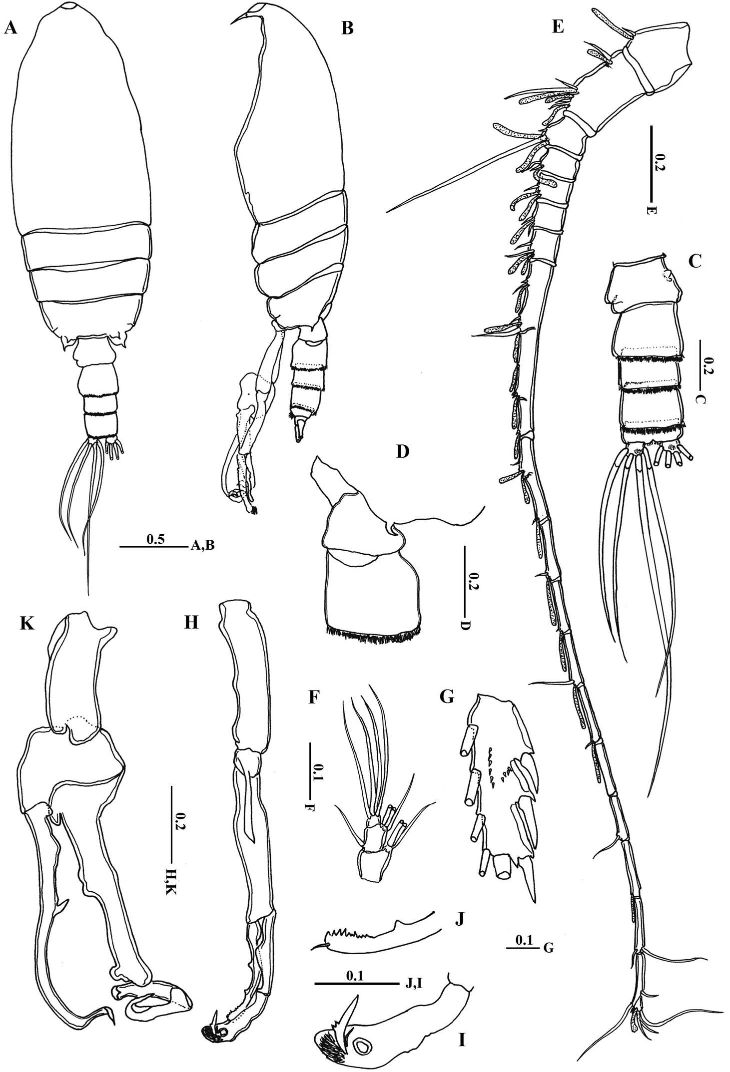 Image of Hexanauplia