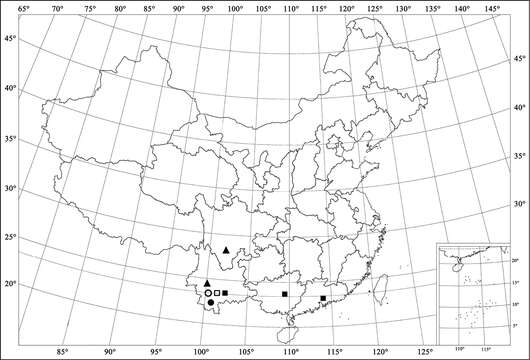 صورة <i>Aspidimerus zhenkangicus</i>