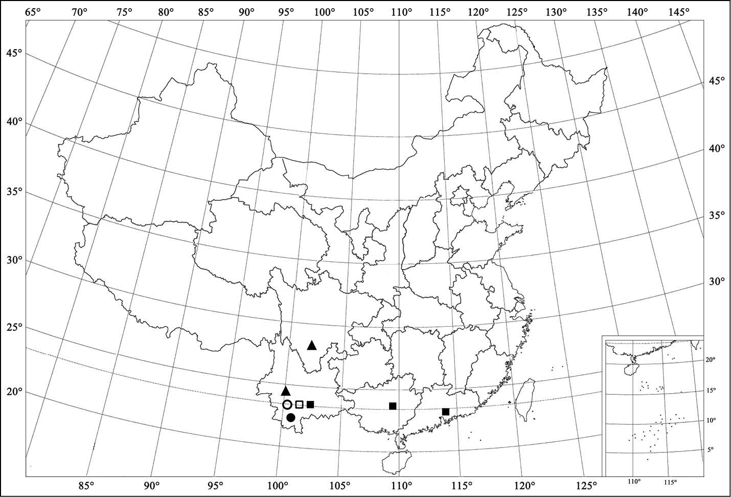 Sivun <i>Aspidimerus zhenkangicus</i> kuva