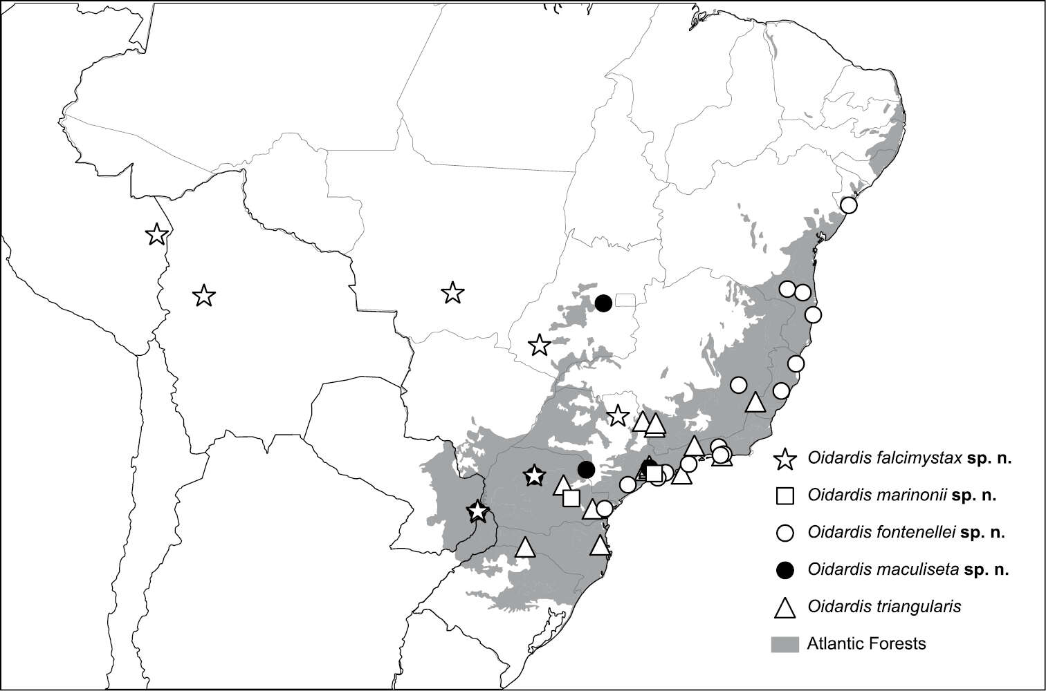 Image of Oidardis marinonii Cezar, Fisher & Lamas 2013