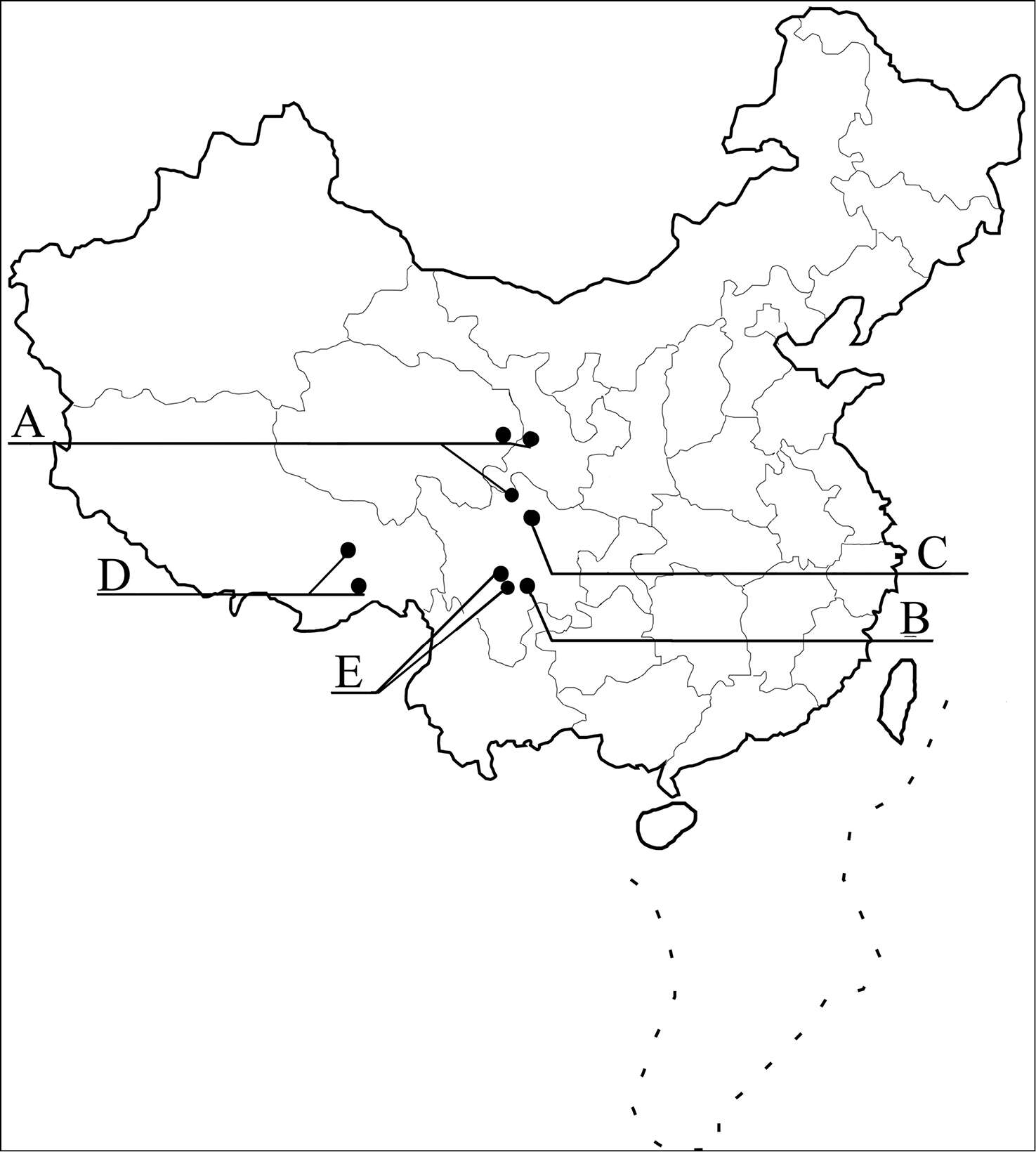 Image of rove beetles