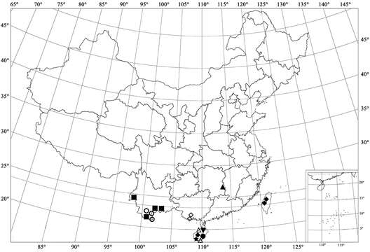 Sivun <i>Microserangium shennongensis</i> Miyatake 1961 kuva