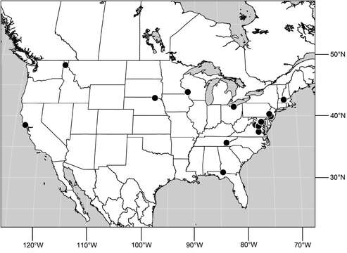 Image of Hydrochasma garvinorum Mathis & Zatwarnicki 2010