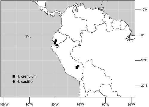 Image of Hydrochasma castilloi Mathis & Zatwarnicki 2013