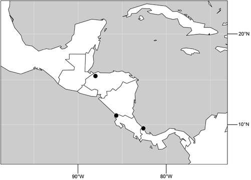Image of Hydrochasma rictum Mathis & Zatwarnicki 2013