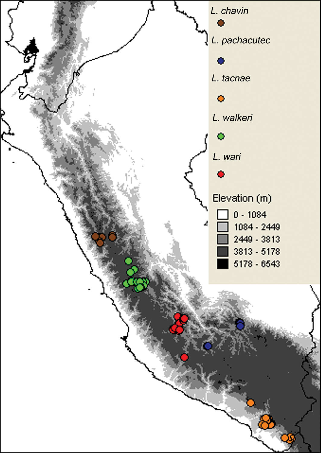 Plancia ëd Liolaemus chavin Aguilar, Wood, Cusi, Guzmán, Huari, Lundberg, Mortensen, Ramírez, Robles, Suárez, Ticona, Vargas & Ve