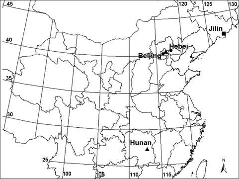 Image of Acanoides beijingensis Sun, Marusik & Tu 2014