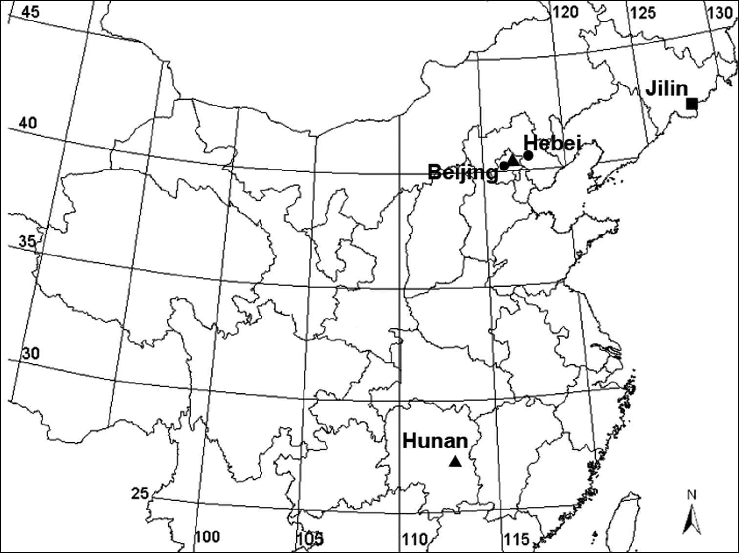 Image of Acanoides beijingensis Sun, Marusik & Tu 2014