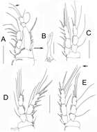 Image de Hexanauplia