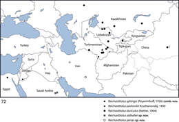 Imagem de Reichardtiolus aldhaferi Lackner 2014