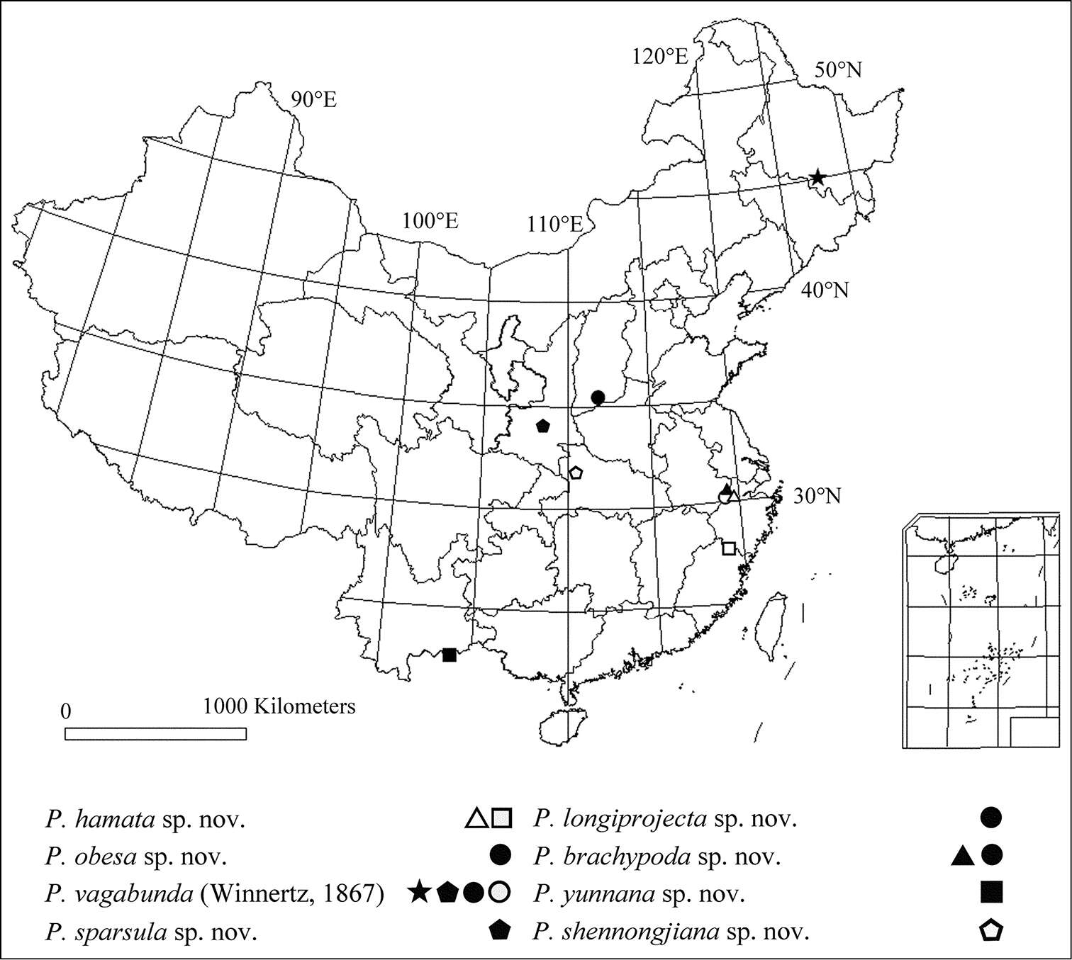 Plancia ëd Peyerimhoffia yunnana Shi, Huang, Zhang & Wu 2014