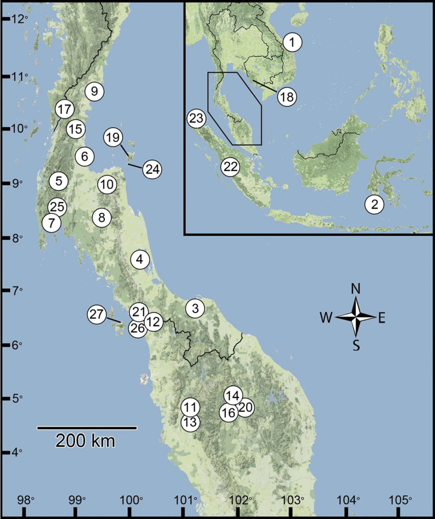 Image of Discartemon discamaximus Siriboon & Panha 2014