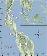 Image of Discartemon kotanensis Siriboon & Panha 2014