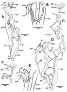 Image of Discartemon megalostraka Siriboon & Panha 2014