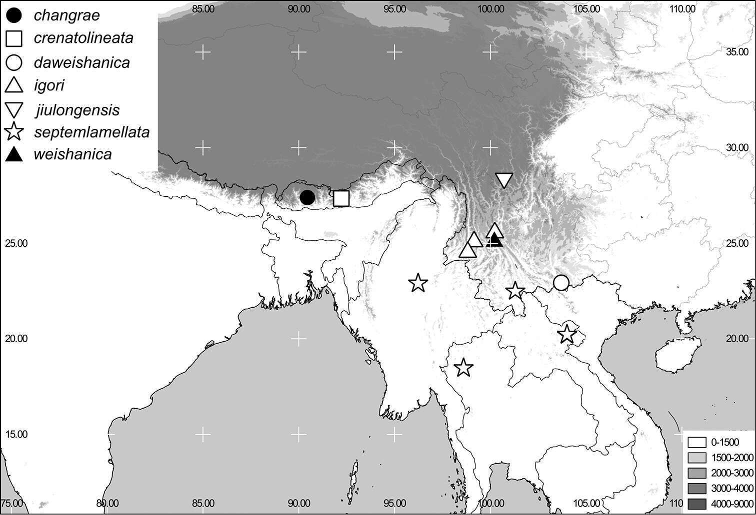 Image de Neoserica jiulongensis Ahrens, Fabrizi & Liu 2014