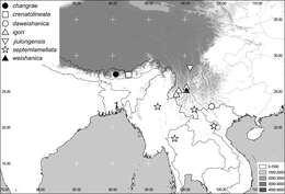 Image of Neoserica crenatolineata Ahrens & Fabrizi 2009