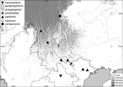 Image of Neoserica sapaensis Ahrens, Fabrizi & Liu 2014