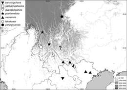 Image de Neoserica guangpingensis Ahrens, Fabrizi & Liu 2014