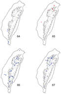 Image of Paridea (Paridea) cyanipennis (Chûjô 1935)