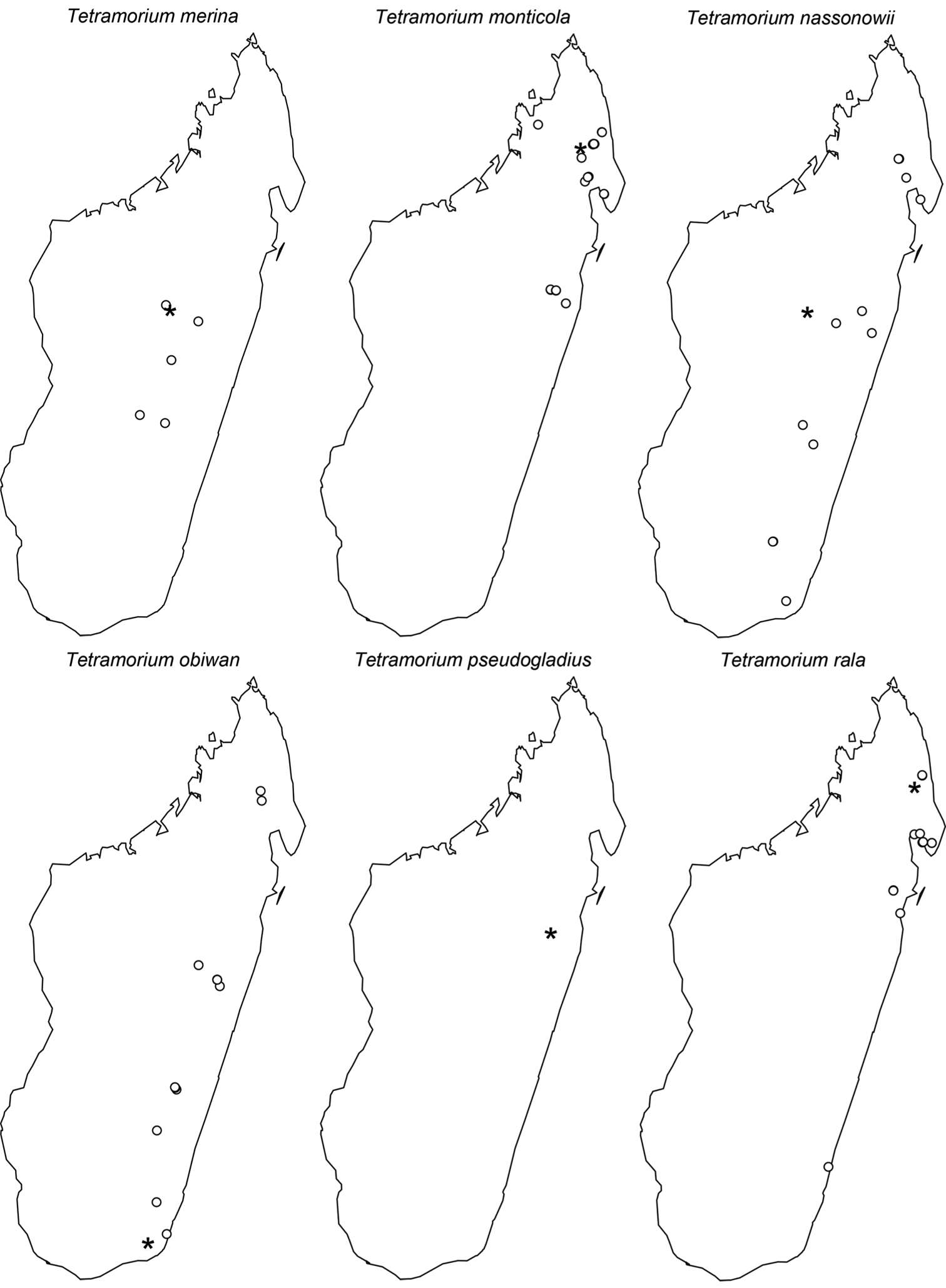 Image of Myrmicinae