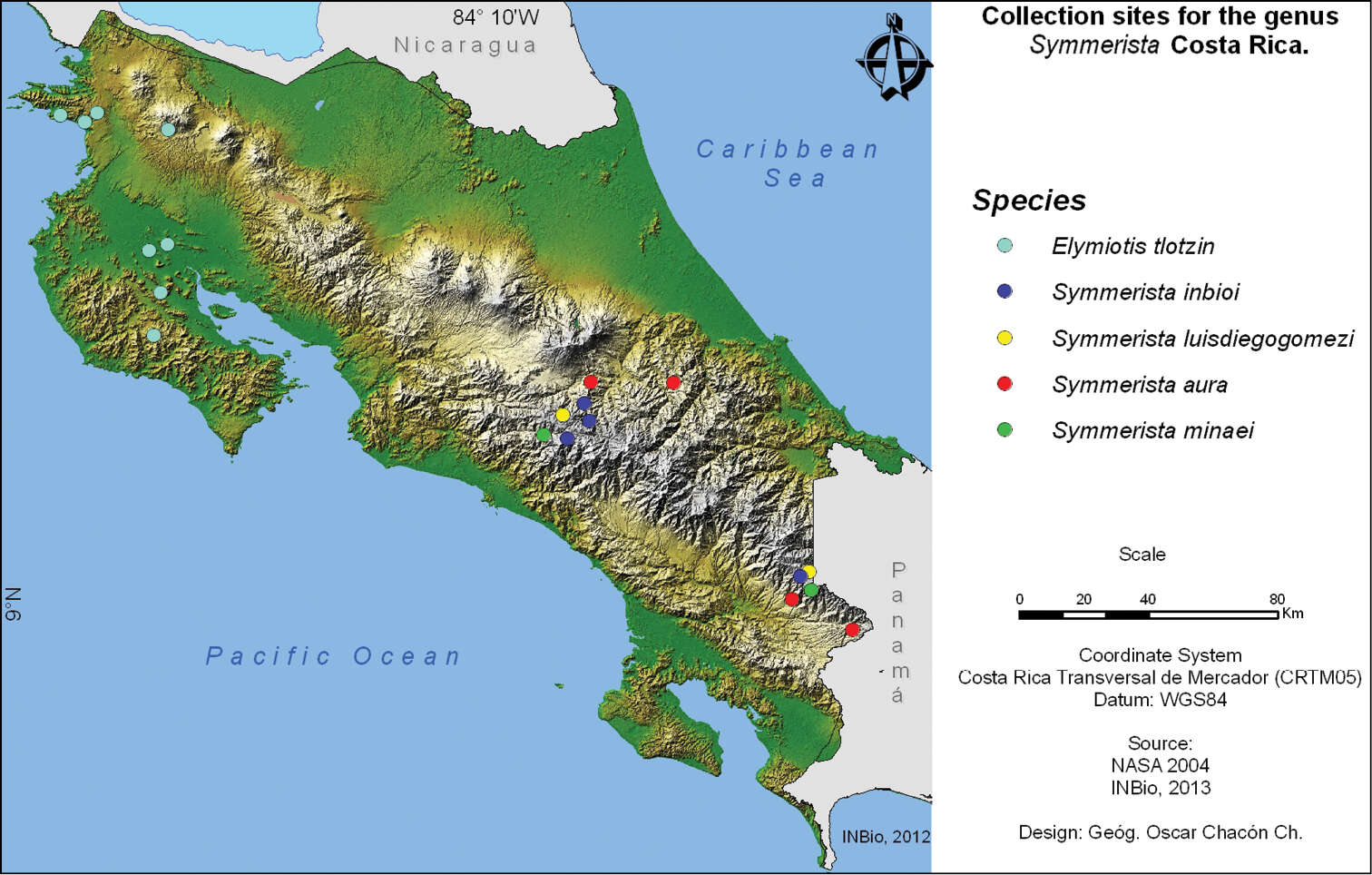 Image of Symmerista luisdiegogomezi Chacón