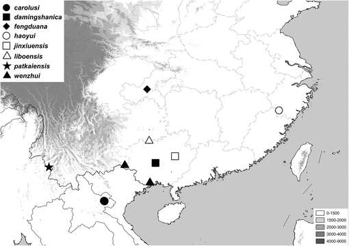 Sivun Gastroserica fengduana Liu & Ahrens 2014 kuva