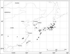 Image of Scleropteroides longiprocessus Huang & Yoshitake 2014